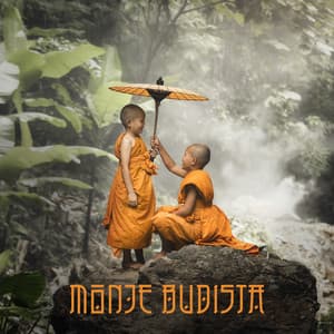 Monje Budista: Meditación para la Sabiduría, la Concentración y la Tranquilidad - Meditación Budista Zen