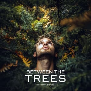 Between the Trees - Sleep Sounds of Nature