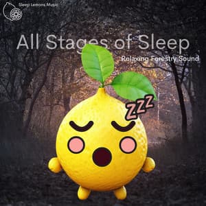 All Stages of Sleep - Sleep Lemons Music