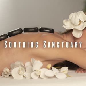 Soothing Sanctuary: Meditation Music for Spa Bliss - Tonal Facts