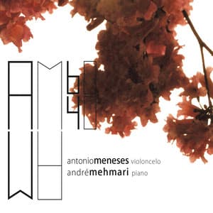 AM60AM40 - André Mehmari