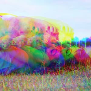 Spectacular Backdrop for Safe Doggies - Doggy Relaxing Sounds