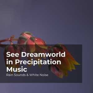 See Dreamworld in Precipitation Music - Rain Sounds & White Noise