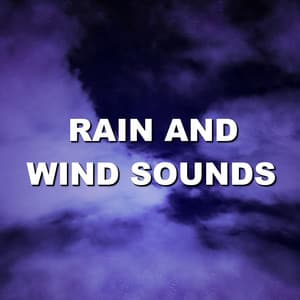Rain and Wind Sounds - Wind and Rain Sounds