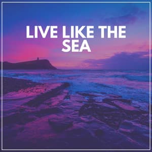Live Like the Sea - Ocean Sounds Plus