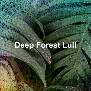 Deep Forest Lull - Tranquil Music Sound of Nature