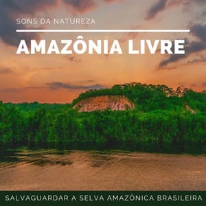 Amazônia Livre - Sons da Natureza para Salvaguardar a Selva Amazônica Brasileira - Sons da Natureza Relax