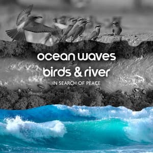 Ocean Waves, Birds & River: In Search of Peace - Harmony Green
