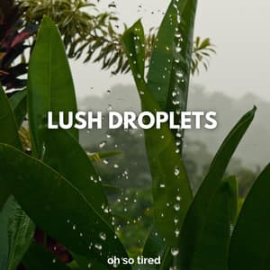 Lush Droplets - Oh so Tired