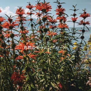 自然のモーニングコール - Morning Jazz