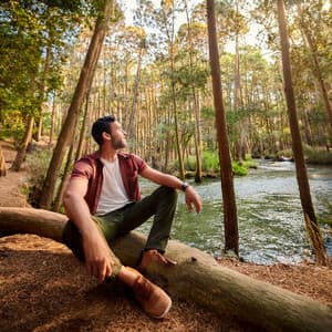 Serenity Of Sound: An Orchestra For Total Relaxation - Binaural Beats Brain Waves