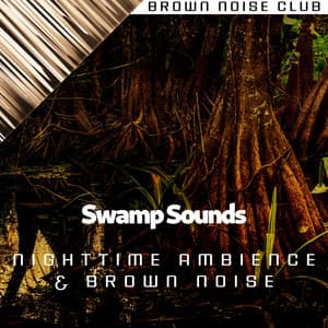 Swamp Sounds - Nighttime Ambience & Brown Noise, Loopable - Nature Sounds XLE Library