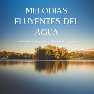 Melodías Fluyentes Del Agua: Sinfonía Serena Del Río Para El Sueño - Dulces Sueños