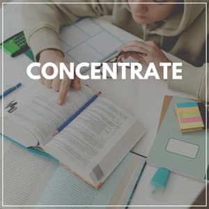 Concentrate - Music for Work