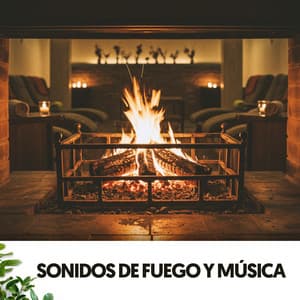 Sonidos de Fuego y Música: Salta, Corre, Arde - Fireplace Sounds