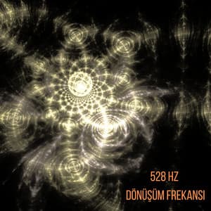 528 Hz Dönüşüm Frekansı: Kendini İyileştirme, Bolluk Çekme ve Pozitif Titreşimleri Artırma, Güneş Sinirağı Aktivasyonu - Zhang Umeda
