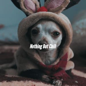 Nothing But Chill - Smooth Jazz Deluxe