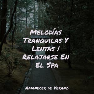 Melodías Tranquilas Y Lentas | Relajarse En El Spa - Mantra para Dormir