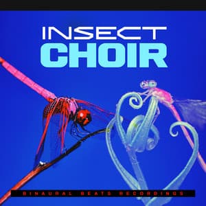 Insect Choir - Binaural Beats Recordings