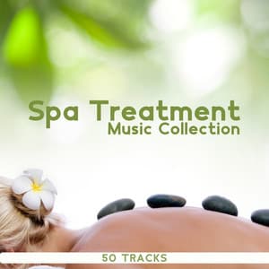 Spa Treatment Music Collection: 50 Tracks of Soothing Massage Music, Wellness - Well-Being Center