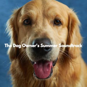 The Dog Owner's Summer Soundtrack - Dog Jazz Sounds