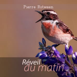 Réveil du matin: Sonneries de la nature - Pierre Rotween