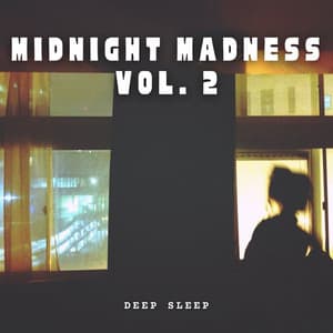 Deep Sleep: Midnight Madness Vol. 2 - Night Sounds Association