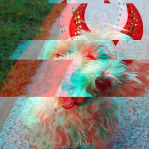 Music for Vegging Out Doggo - Jazz Quintet - Relaxing Music for Dogs