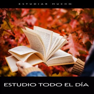 Estudio todo el día - Estudiar Mucho