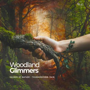 Woodland Glimmers - Sounds Of Nature : Thunderstorm, Rain