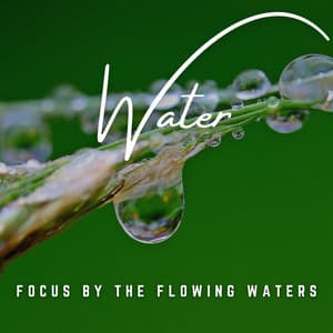 Liquid Zen: Guided Focus and Concentration by the Water - Natural Waters