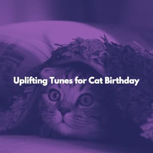 Uplifting Tunes for Cat Birthday - Chilled Out Lounge Music