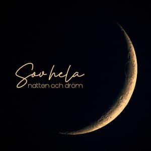 Sov hela natten och dröm: Allt kommer att bli bra, Musik för bättre sömn - Lugn Musik Atmosfär