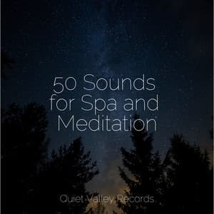 50 Sounds for Spa and Meditation - Instrumental