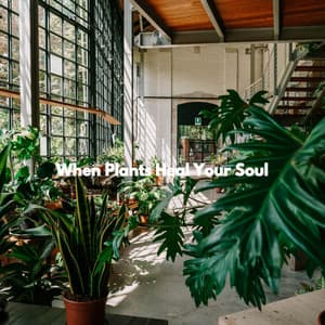 When Plants Heal Your Soul - Soft Coffee Shop Music