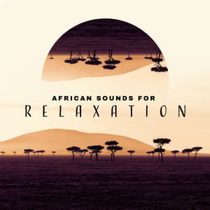 African Sounds for Relaxation – Relax and Discover New Meditation Techniques - Chakra Balancing 101