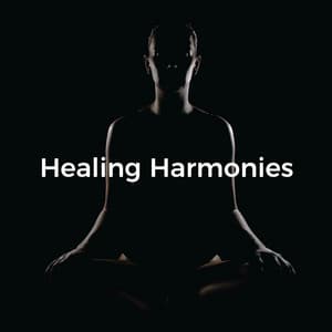 Healing Harmonies: Serene Sounds for Inner Peace - Reiki Healing Academy