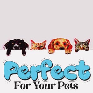Calming Soundscapes: Perfect For Your Pets - Best Relaxation Music