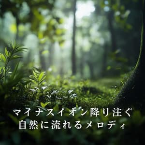 マイナスイオン降り注ぐ自然に流れるメロディ - Relaxing BGM Project