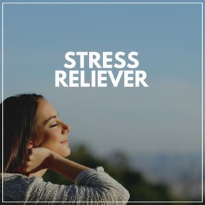 Stress Reliever - Ambient Sample Library