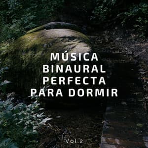 Música binaural perfecta para dormir Vol.2 - Latidos Binaurales Puros