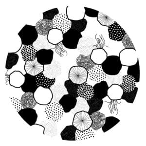 Sichtexotica II - Tufu