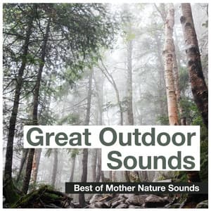Great Outdoor Sounds - Best of Mother Nature Sounds