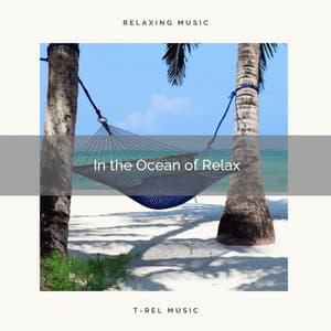 In the Ocean of Relax - Ocean Waves