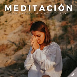 Meditación: Desarrollo Espiritual Vol. 1 - Meditación Perfecta