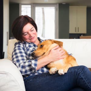 Serene Pawprints: Lofi Pet's Harmonic Cozy Moments - Lofi Sax