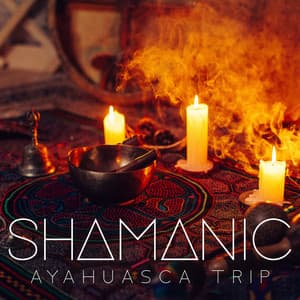 Shamanic Ayahuasca Trip - Jim Sieber