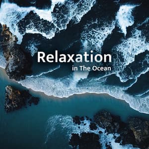 Relaxation in The Ocean: Calming Music with Ocean Waves for Stress Reduction, Guided Meditation, Intense Enjoy of Resting - Tropical Ocean Waves Oasis