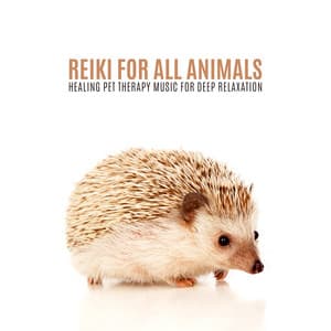 Reiki for All Animals: Healing Pet Therapy Music for Deep Relaxation - Animal Melody Wizard