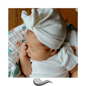 Night Noise - Fan Sounds